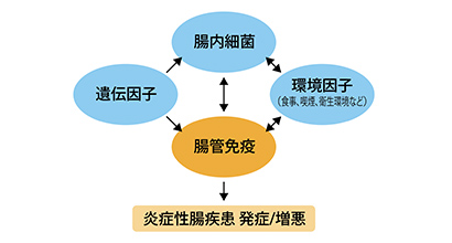 病態・発現状況: 病態と臨床症状