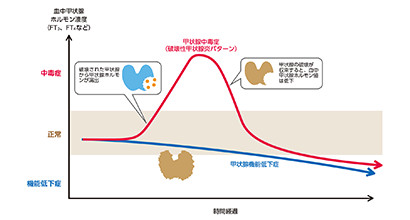 病態・発現状況: 病態と臨床症状