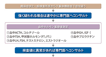 診断方法: 診断フロー