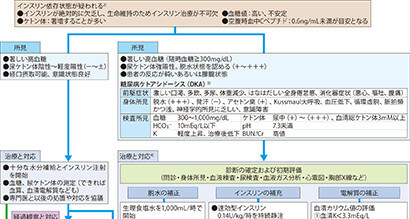 治療: 1型糖尿病(劇症1型糖尿病を含む)および糖尿病ケトアシドーシス(DKA)の治療