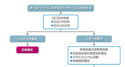 診断方法: 診断フロー